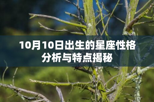 10月10日出生的星座性格分析与特点揭秘