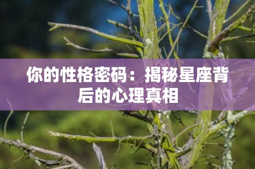你的性格密码：揭秘星座背后的心理真相
