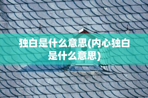 独白是什么意思(内心独白是什么意思)
