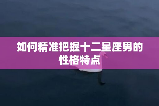 如何精准把握十二星座男的性格特点