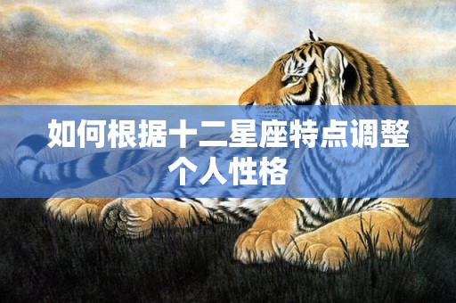 如何根据十二星座特点调整个人性格