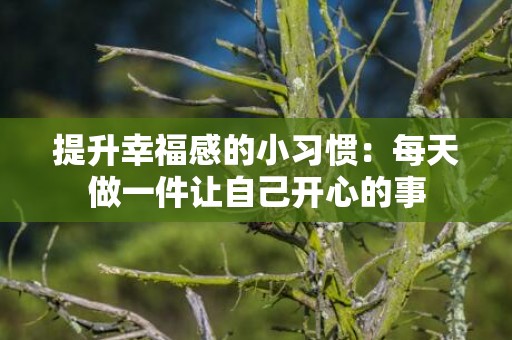 提升幸福感的小习惯：每天做一件让自己开心的事