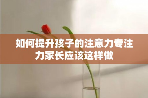 如何提升孩子的注意力专注力家长应该这样做