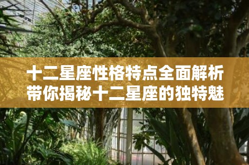 十二星座性格特点全面解析带你揭秘十二星座的独特魅力