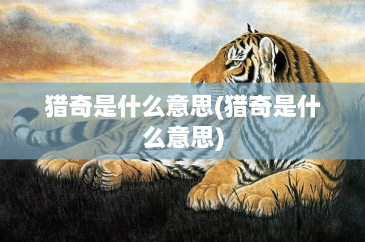 猎奇是什么意思(猎奇是什么意思)