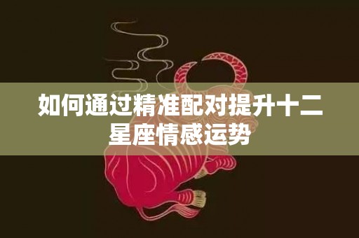如何通过精准配对提升十二星座情感运势