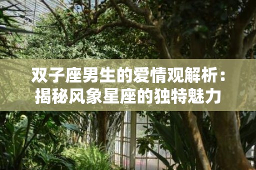 双子座男生的爱情观解析：揭秘风象星座的独特魅力