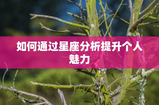 如何通过星座分析提升个人魅力