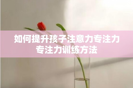 如何提升孩子注意力专注力专注力训练方法