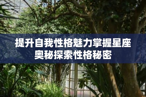 提升自我性格魅力掌握星座奥秘探索性格秘密