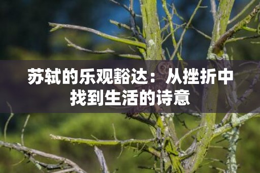 苏轼的乐观豁达：从挫折中找到生活的诗意