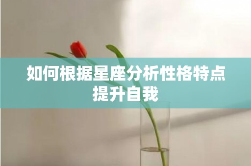 如何根据星座分析性格特点提升自我