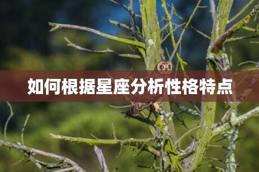 如何根据星座分析性格特点
