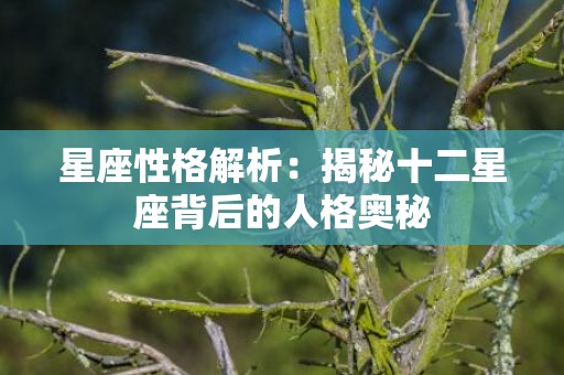 星座性格解析：揭秘十二星座背后的人格奥秘