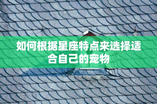 如何根据星座特点来选择适合自己的宠物