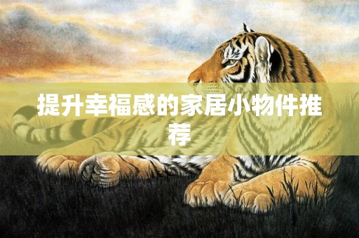 提升幸福感的家居小物件推荐