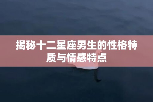 揭秘十二星座男生的性格特质与情感特点