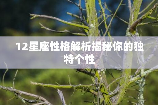 12星座性格解析揭秘你的独特个性