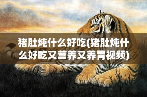 猪肚炖什么好吃(猪肚炖什么好吃又营养又养胃视频)