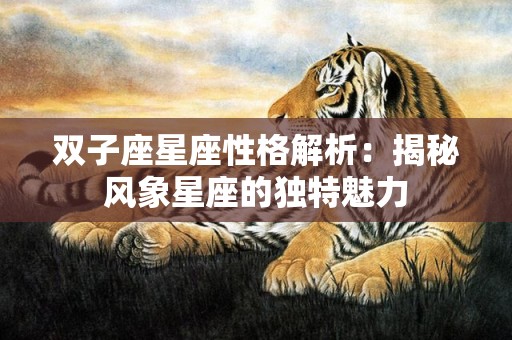 双子座星座性格解析：揭秘风象星座的独特魅力