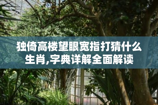 独倚高楼望眼宽指打猜什么生肖,字典详解全面解读