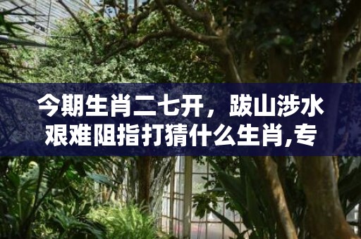 今期生肖二七开，跋山涉水艰难阻指打猜什么生肖,专业解读全方位解析