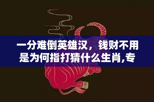 一分难倒英雄汉，钱财不用是为何指打猜什么生肖,专业解读全方位解析