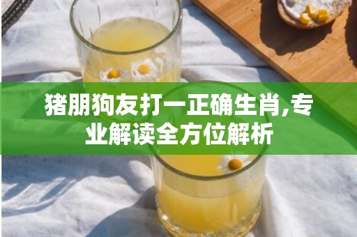 猪朋狗友打一正确生肖,专业解读全方位解析