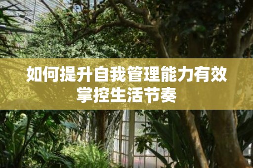 如何提升自我管理能力有效掌控生活节奏
