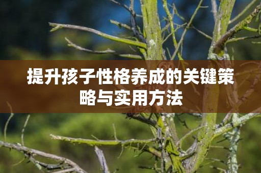提升孩子性格养成的关键策略与实用方法
