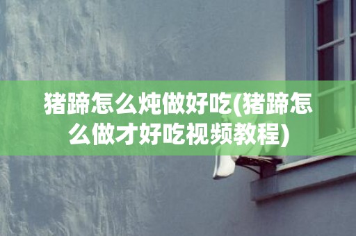 猪蹄怎么炖做好吃(猪蹄怎么做才好吃视频教程)