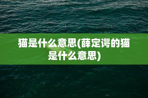 猫是什么意思(薛定谔的猫是什么意思)