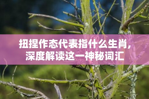 扭捏作态代表指什么生肖,深度解读这一神秘词汇