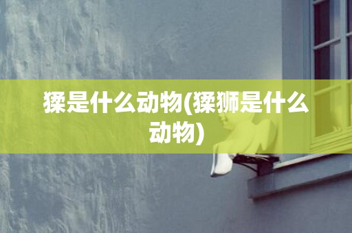 猱是什么动物(猱狮是什么动物)