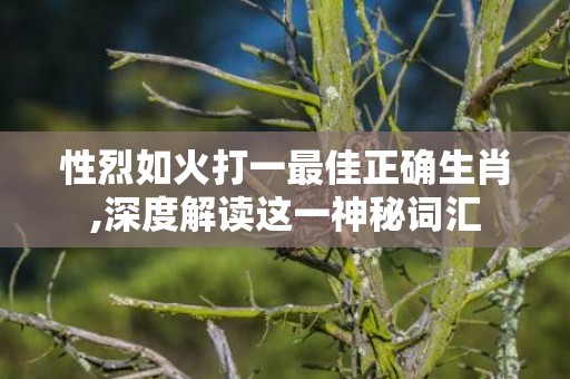 性烈如火打一最佳正确生肖,深度解读这一神秘词汇