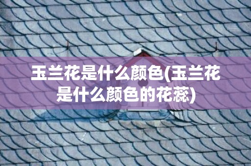 玉兰花是什么颜色(玉兰花是什么颜色的花蕊)