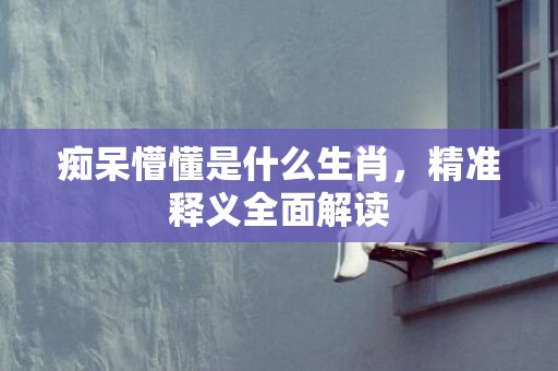 痴呆懵懂是什么生肖，精准释义全面解读