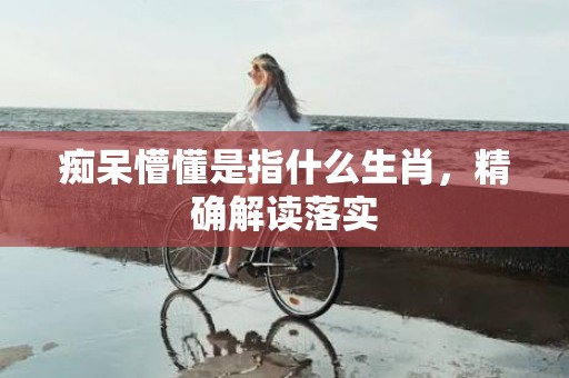 痴呆懵懂是指什么生肖，精确解读落实