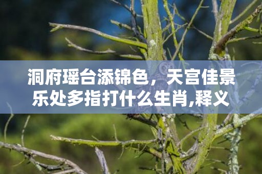 洞府瑶台添锦色，天宫佳景乐处多指打什么生肖,释义揭晓最准答案