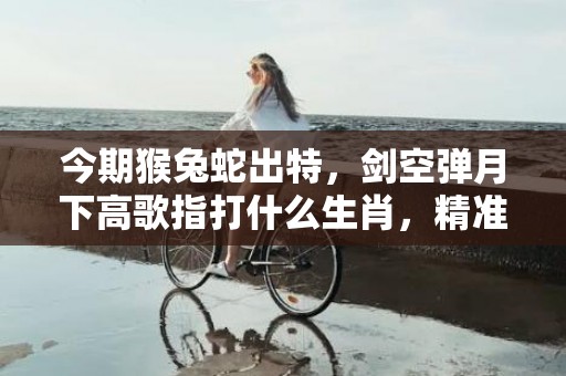 今期猴兔蛇出特，剑空弹月下高歌指打什么生肖，精准回答精准落地