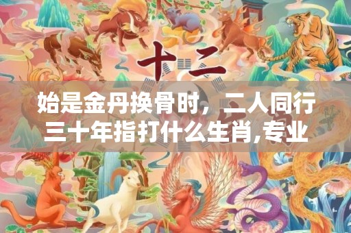 始是金丹换骨时，二人同行三十年指打什么生肖,专业解读全方位解析