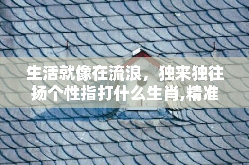 生活就像在流浪，独来独往扬个性指打什么生肖,精准揭秘相关生肖含义
