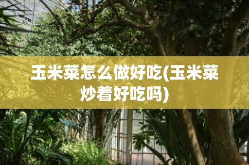玉米菜怎么做好吃(玉米菜炒着好吃吗)
