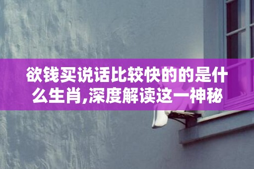 欲钱买说话比较快的的是什么生肖,深度解读这一神秘词汇