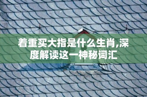着重买大指是什么生肖,深度解读这一神秘词汇