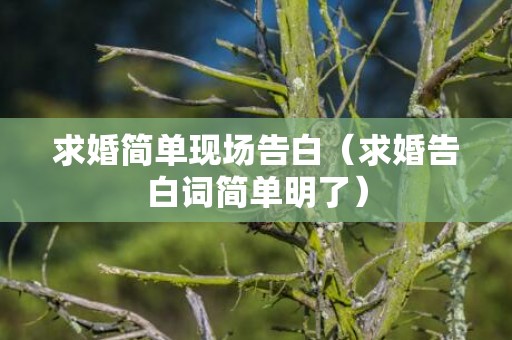 求婚简单现场告白（求婚告白词简单明了）