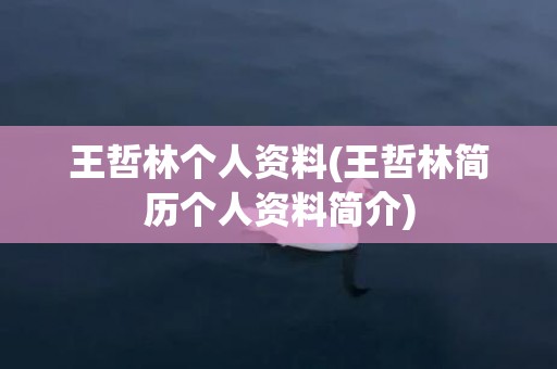 王哲林个人资料(王哲林简历个人资料简介)