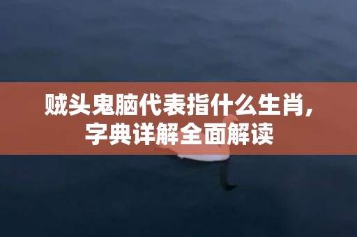 贼头鬼脑代表指什么生肖,字典详解全面解读