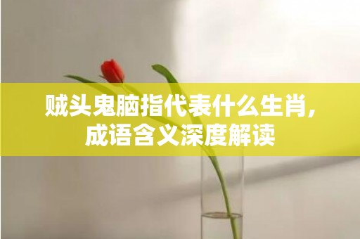 贼头鬼脑指代表什么生肖,成语含义深度解读