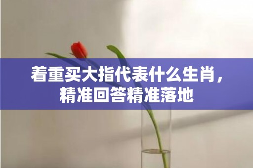 着重买大指代表什么生肖，精准回答精准落地